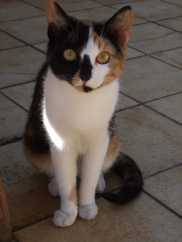 Ostern 2007 Orleshausen 035 